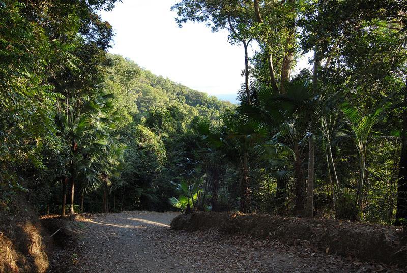 Villa Cloud 9 à Daintree Extérieur photo